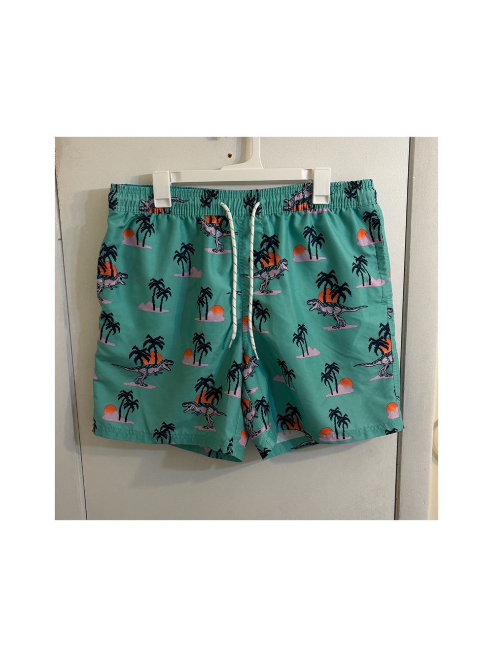 Men's No Boundaries T-Rex Swim Trunks Large - Teal